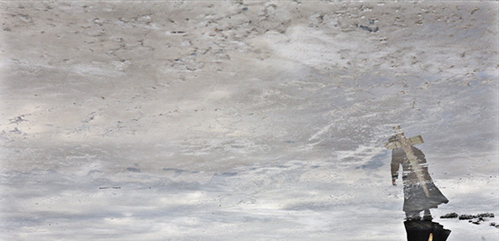 herzog_orr_southern-cross---to-bear-and-behold-9