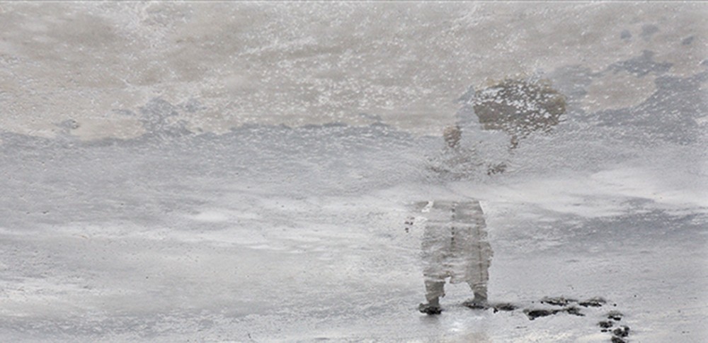 southern-cross---to-bear-and-behold.-2-jpg