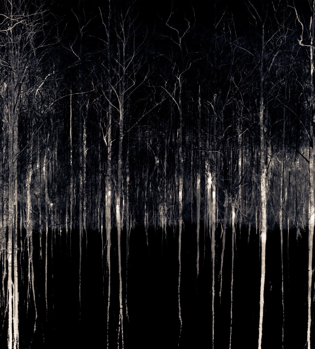 ghost-trees-2