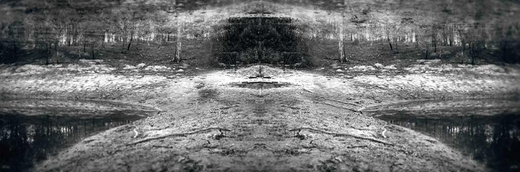 herzog_trees_the_dam3